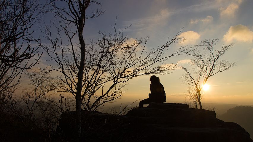 檀香山(北京海淀檀香山) 檀香山在哪里