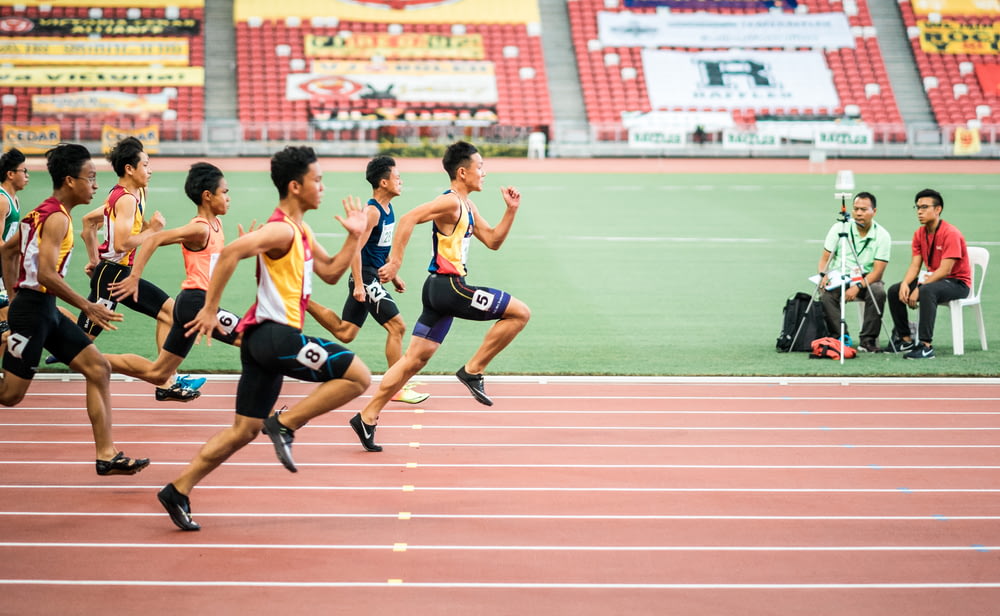 什么鸟好养又与人亲近，来瞧瞧这几种