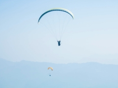 痛风可以吃海蜇吗