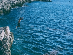 海芋恋歌词（关于海芋恋歌词的基本详情介绍）