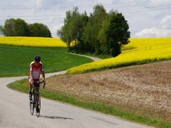 智能电动车概念上市公司名单一览（2023825）